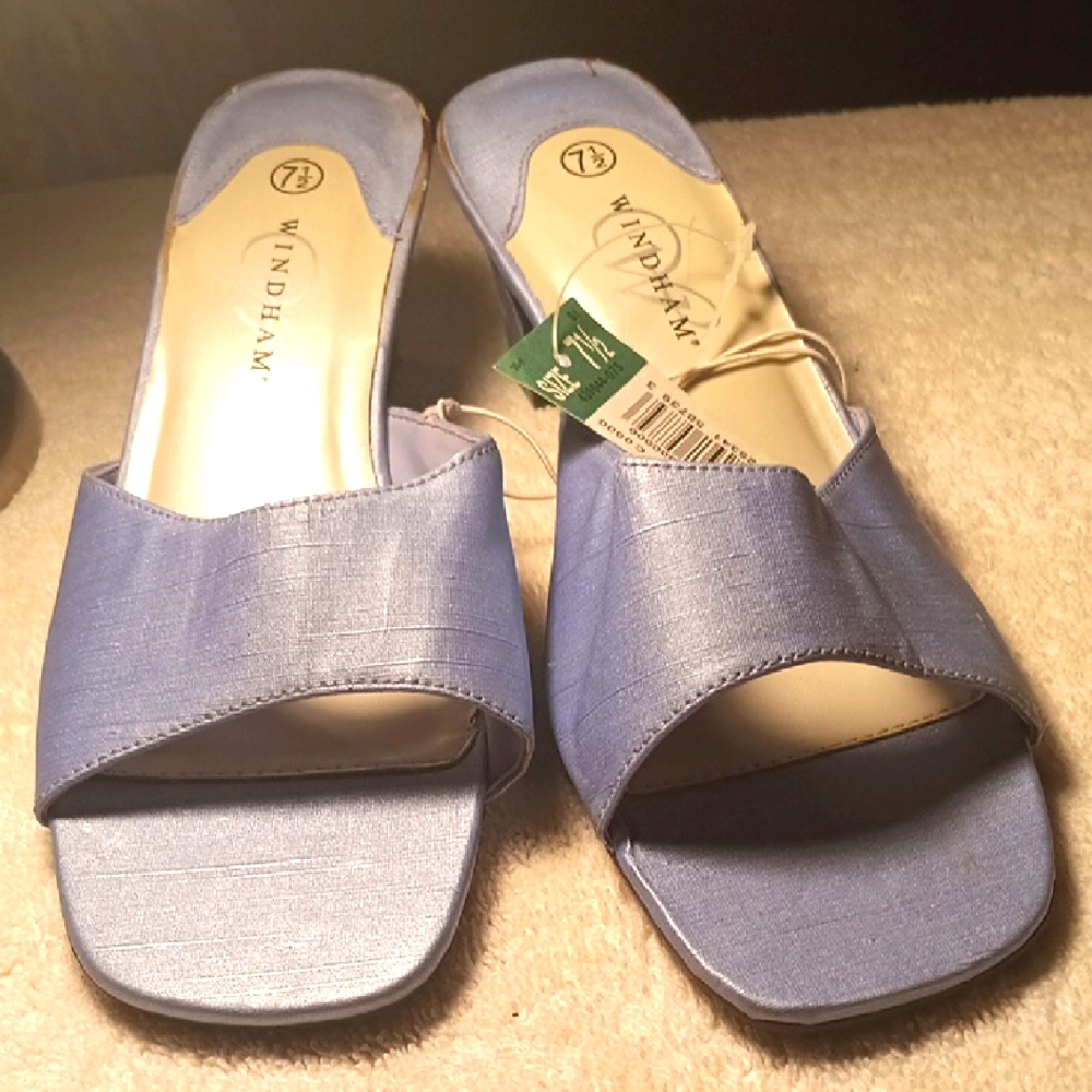 Women's Blue Mules
